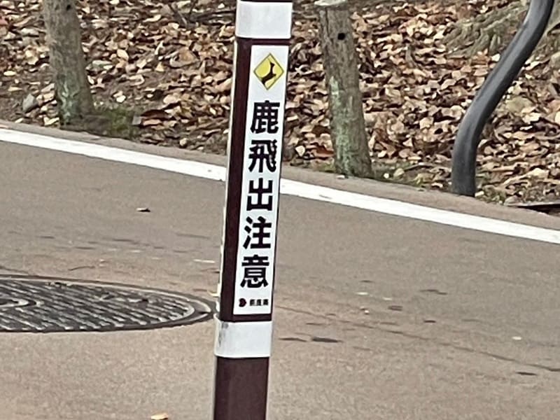 鹿飛出注意の標識